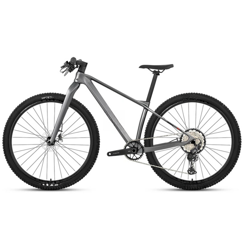 Mountain Biking Equipment - Speciale aanbieding: Betaalbare mountainbike van carbonfiber